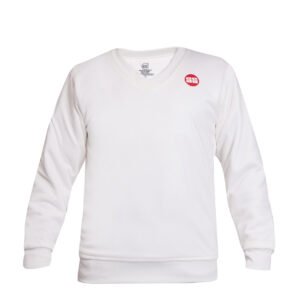 SS Professional Sweater (V-Neck Full Sleeves)
