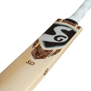 SDSHIKHARDHAWAN 2 scaled