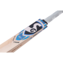 Untitled design 6b29b359 3f47 4ed2 b483 b713699602e0